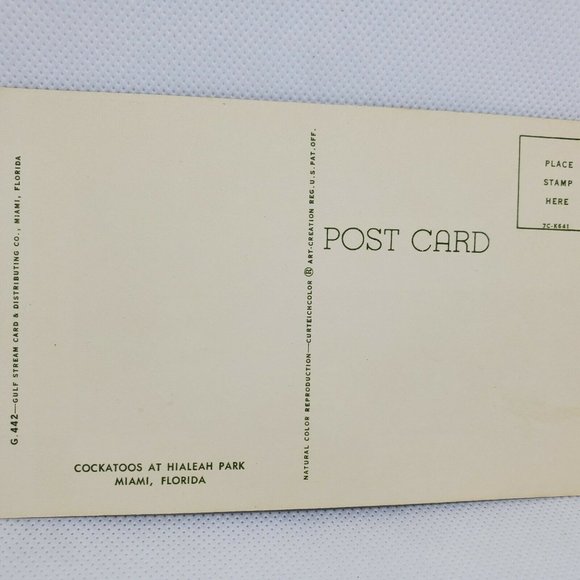 Gulf Stream Card Cockatoos At Hialeah Park Florida Miami Bird Postcard Animal - Picture 7 of 12